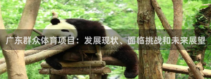 星欧娱乐挂机教程下载