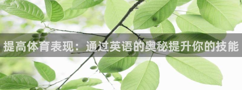 星欧娱乐退款流程详解