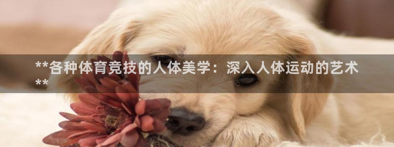 星欧娱乐测速