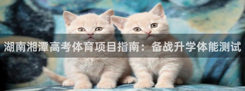 星欧娱乐下载最新版本更新内容