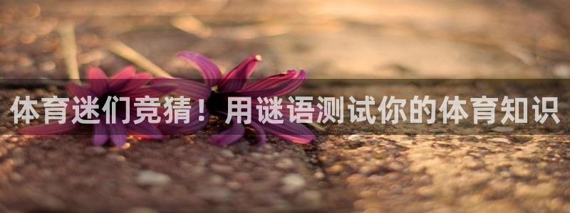 星欧娱乐官方客服联系方式电话