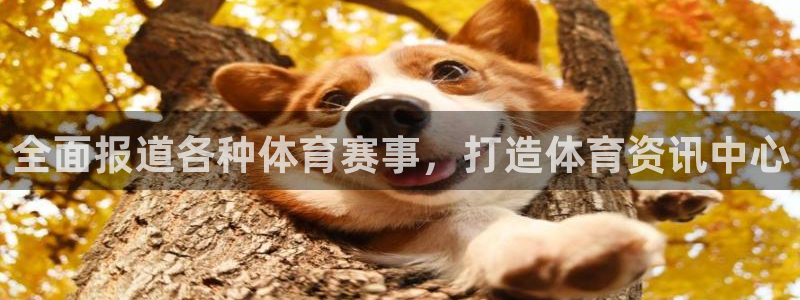 星欧娱乐扣款流程详解视频下载
