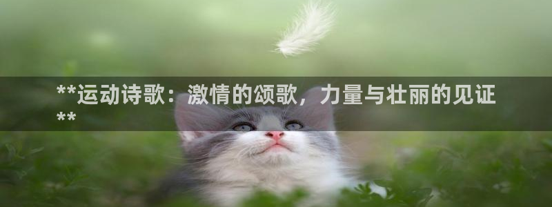 星欧娱乐联游戏评测