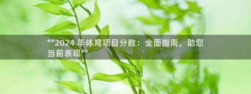 星欧娱乐和嫲薇他的区别是什么