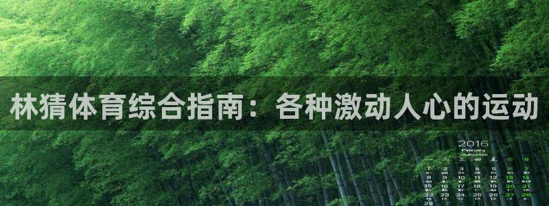 星欧娱乐最建议买的三个产品是哪三个