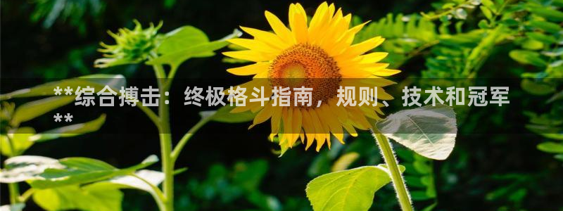 星奥娱乐集团股份有限公司官网