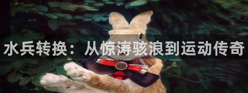 星欧娱乐最建议买的三个游戏账号