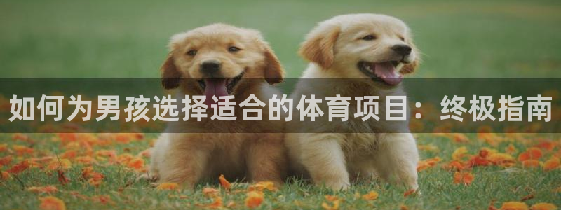 星欧娱乐工711.112怎么没有了
