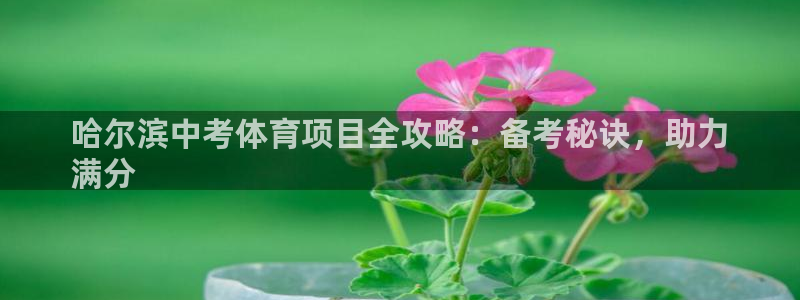 江苏星奥娱乐有限公司怎么样
