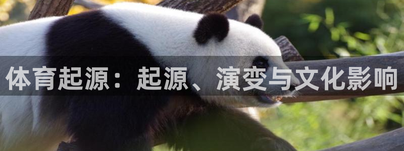 星娱乐online刘亦菲