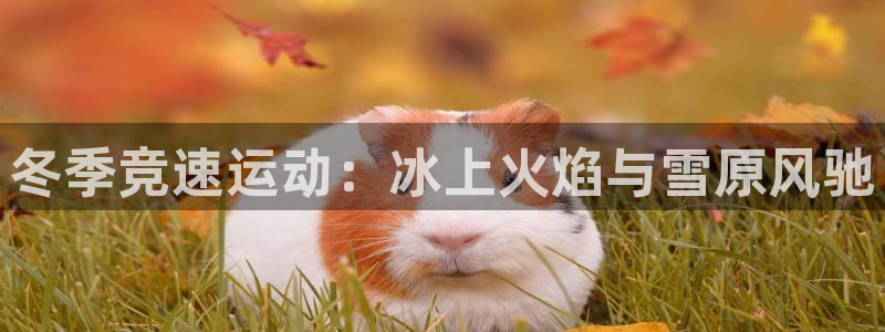 星欧娱乐平台怎么样啊