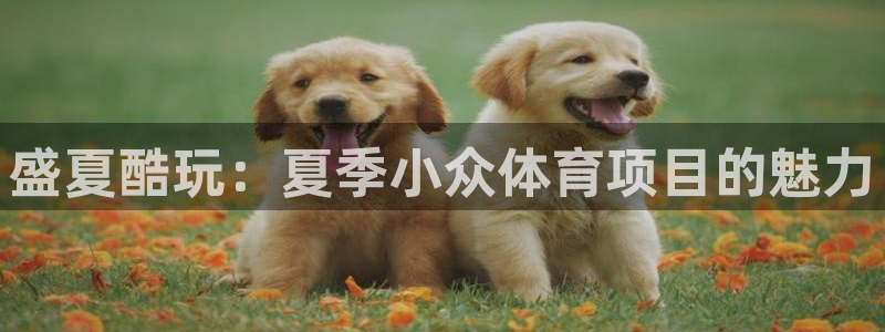 星欧娱乐平台怎么样啊知乎