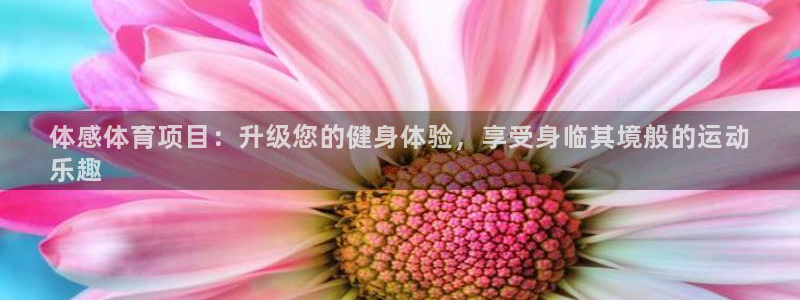 星欧娱乐联游戏评测