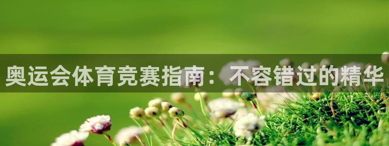 星欧娱乐扣款时间查询方法是什么意思