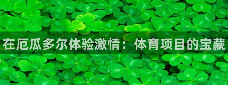 星欧娱乐最建议买的三个游戏是什么