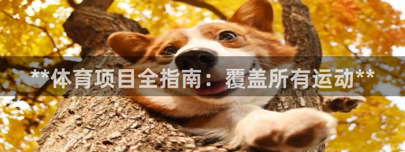 星欧娱乐是正规平台吗知乎文章