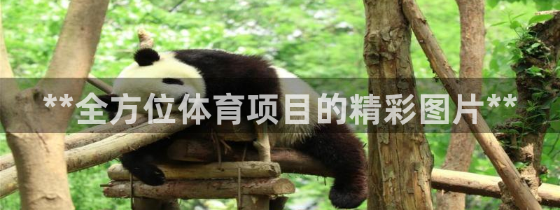 星欧娱乐扣款时间查询方法是什么