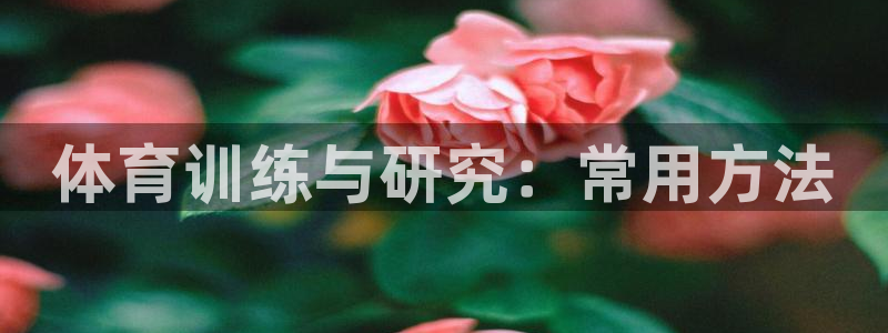 星欧娱乐扣款时间查询方法怎么查