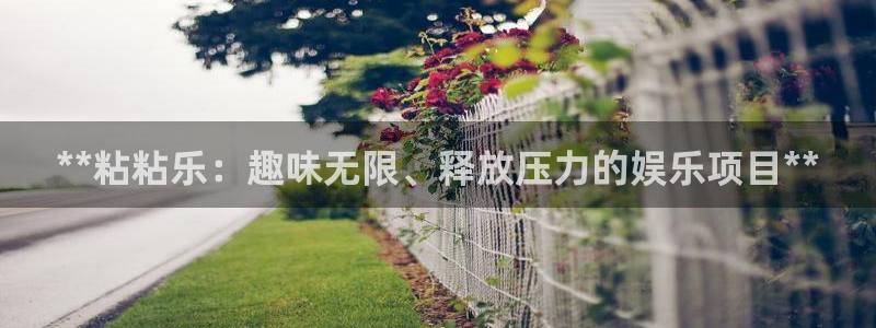 星欧娱乐公司简介