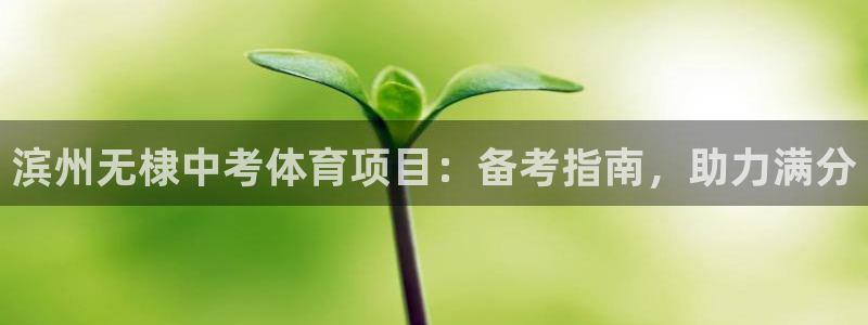 星欧娱乐挂机教程视频