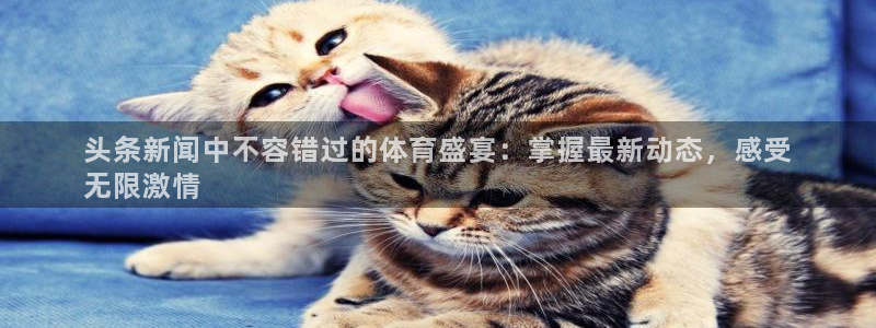江苏星奥娱乐招艺人