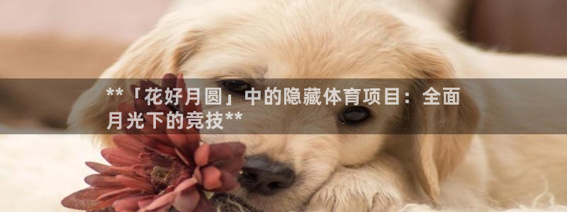 星奥娱乐集团股份有限公司官网