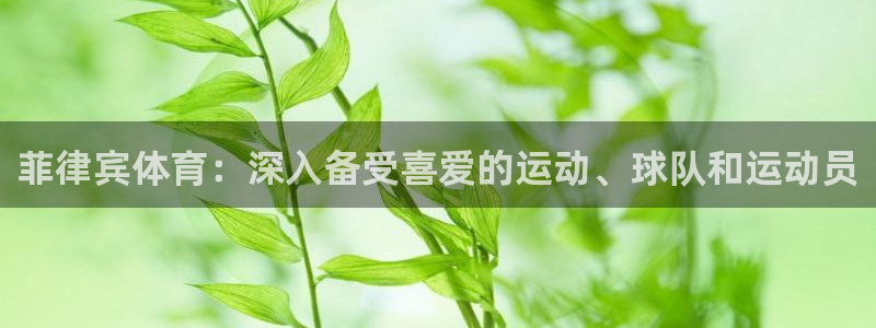 星欧娱乐总代.直开.中国