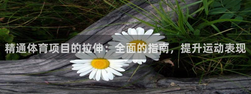 星欧娱乐公司电话号码多少