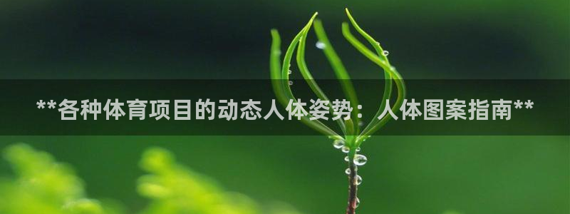 星澳娱乐公司怎么样