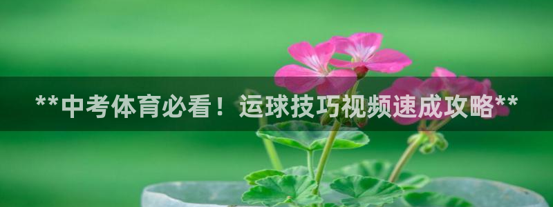 星欧娱乐会员优惠活动
