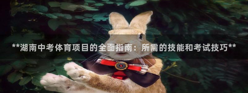 星欧娱乐官网下载安卓