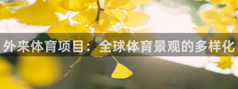 星奥娱乐集团股份有限公司怎么样