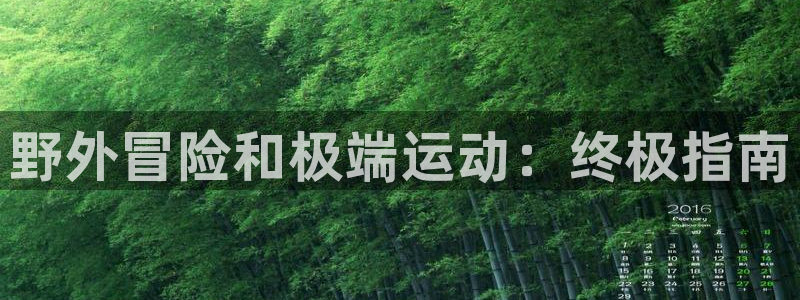 星欧娱乐挂机赚钱是真的吗