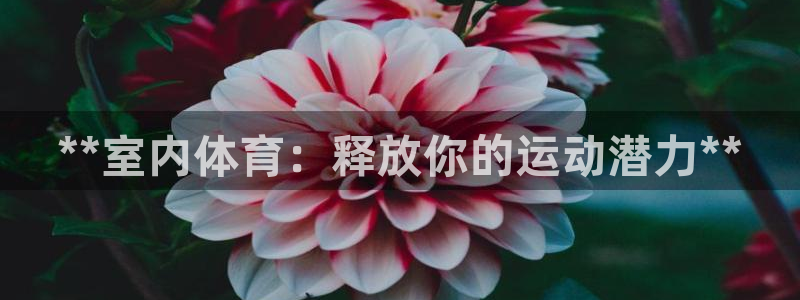 星欧娱乐属于什么档次的网站啊
