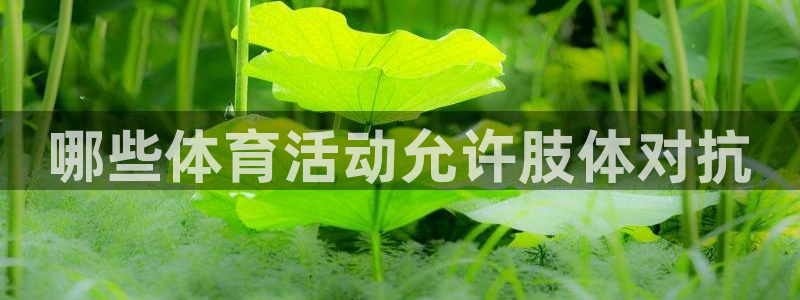 江苏星奥娱乐有限公司怎么样