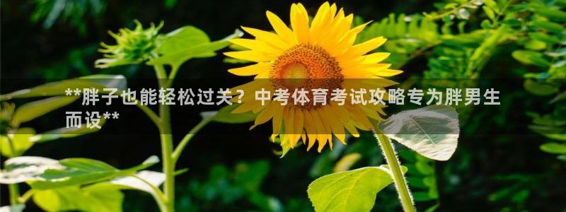 星欧娱乐公司电话号码多少
