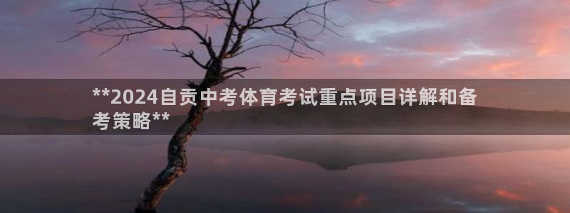 星欧娱乐扣款流程详解