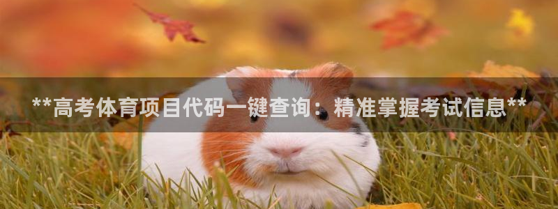 星奥娱乐旗下艺人