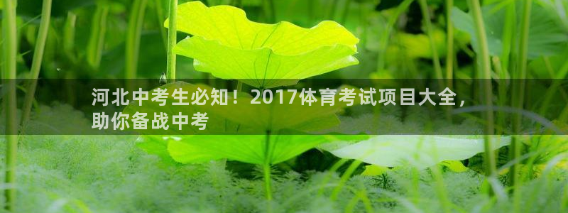 星欧娱乐公司怎么样