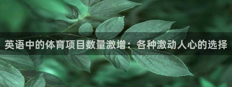 星娱乐包月业务是什么