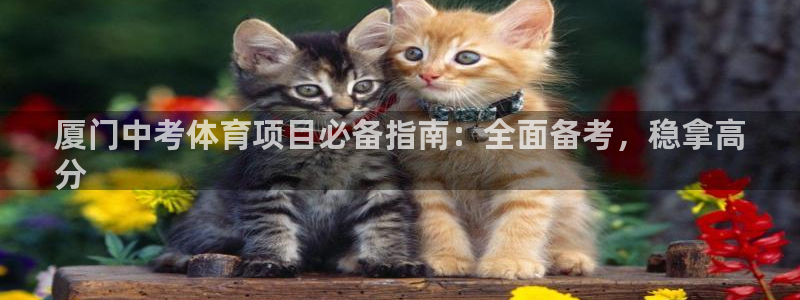 星欧娱乐平台怎么样可靠吗安全吗
