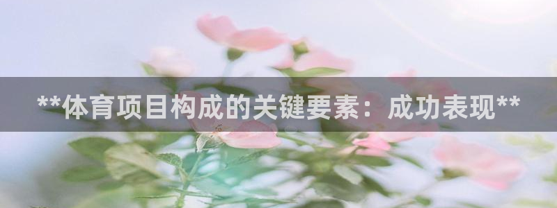 星欧娱乐app最新版本更新内容