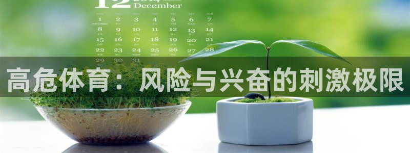 星欧娱乐公司简介