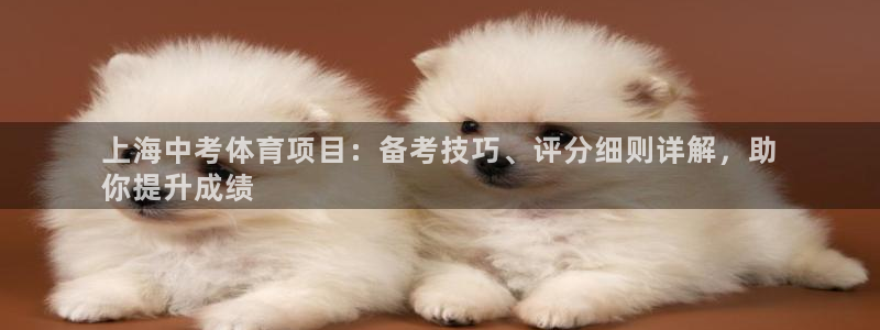 江苏星奥娱乐有限公司招聘