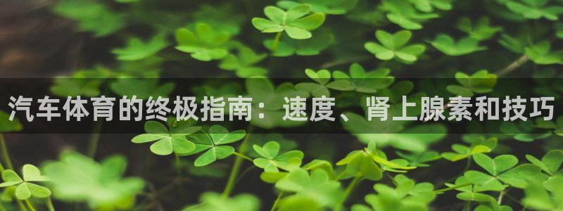 星娱乐online创作的原声
