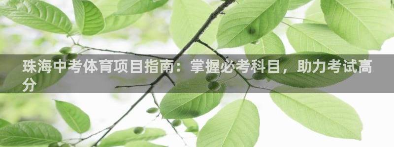 星欧娱乐扣款时间查询方法是什么