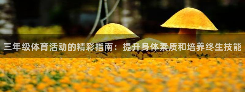 星游娱乐下载地址