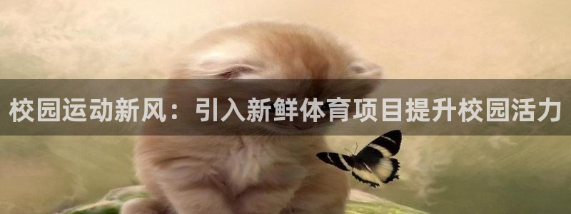 传奇星娱乐
