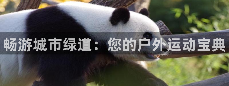 星欧娱乐的官方版本更新内容是什么