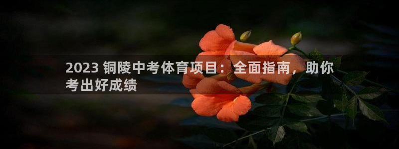星欧娱乐法711.112不退款后果